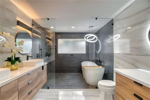 Bathtub-to-Shower-Conversion-Woodlands