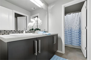 Guest-Bathroom-Remodeling-Woodlands